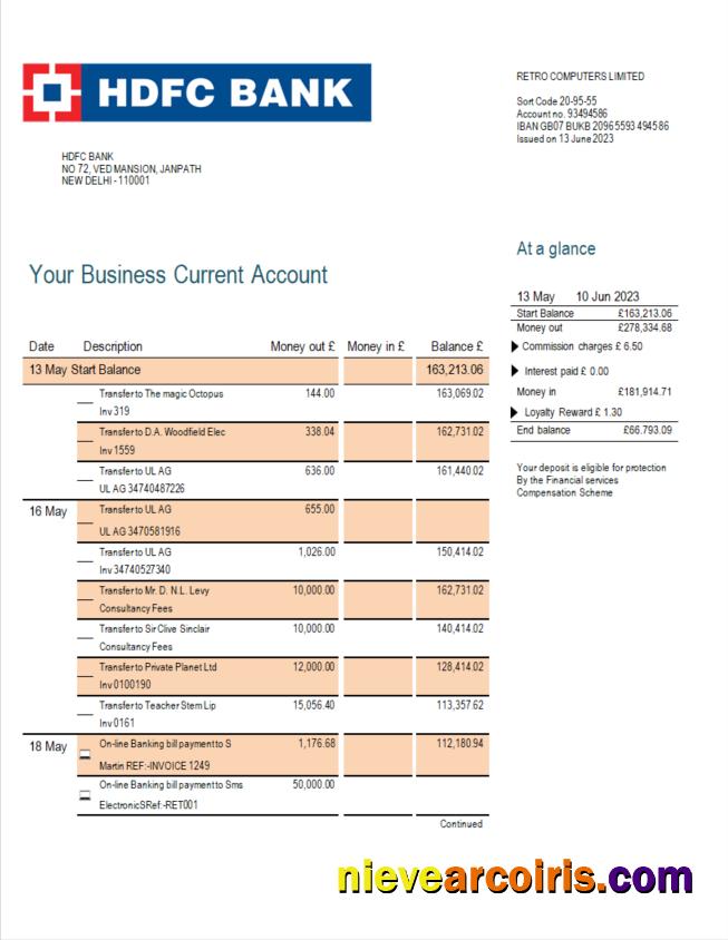 Premium HDFC Bank Firm Account Statement Word And PDF Template