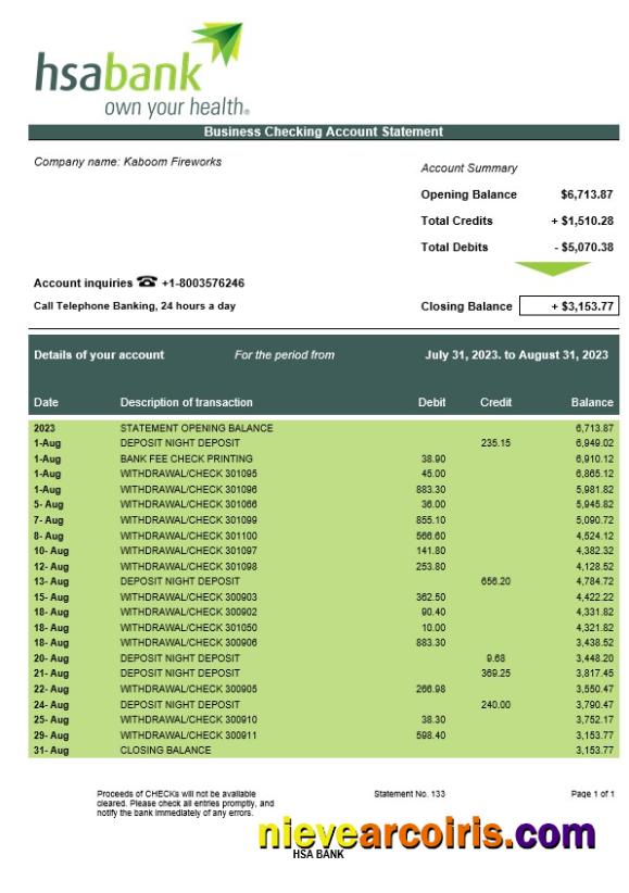 Premium HSA Bank Enterprise Account Statement Word And PDF Template
