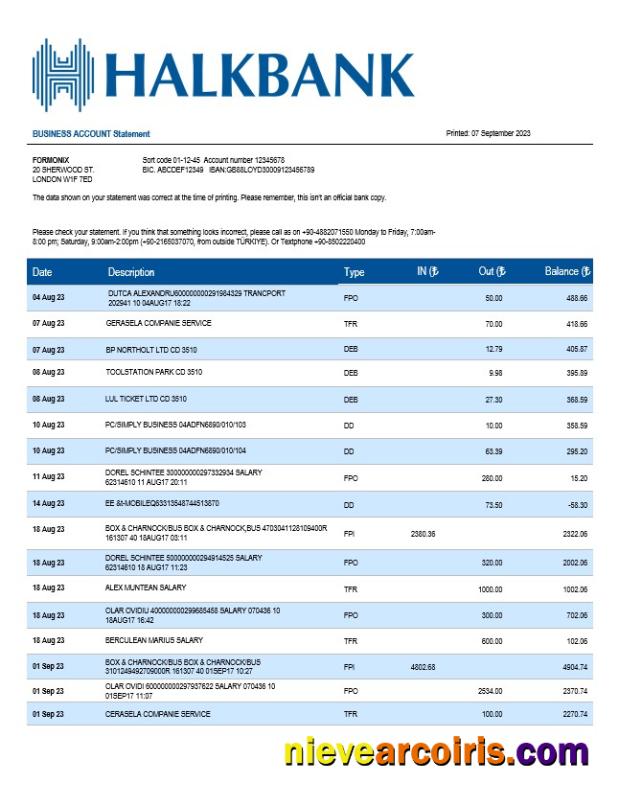 Realistic Halkbank Business Statement Word And PDF Template