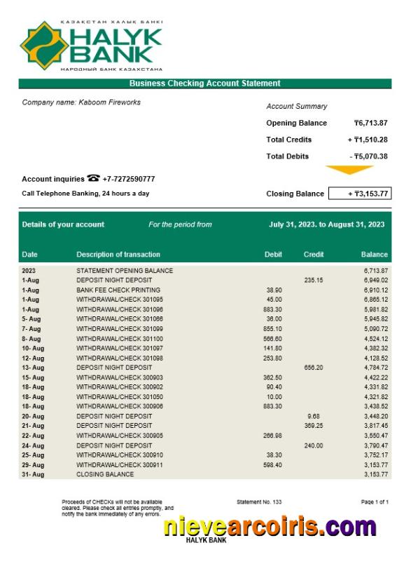 Realistic Halyk Bank Organization Account Statement Word And PDF Template