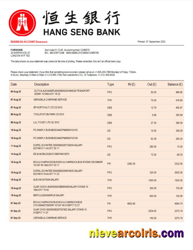 Editable Hang Seng Bank Corporate Checking Account Statement Word And PDF Template
