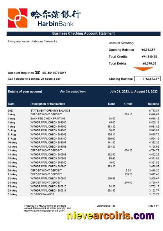 Professional Harbin Bank Enterprise Statement Word And PDF Template