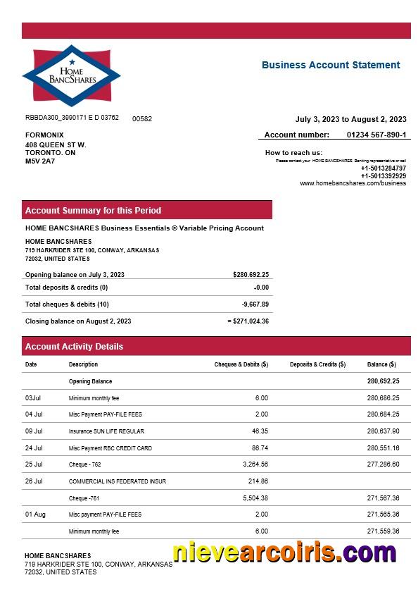 Professional Home Bancshares Bank Firm Account Statement Word And PDF Template