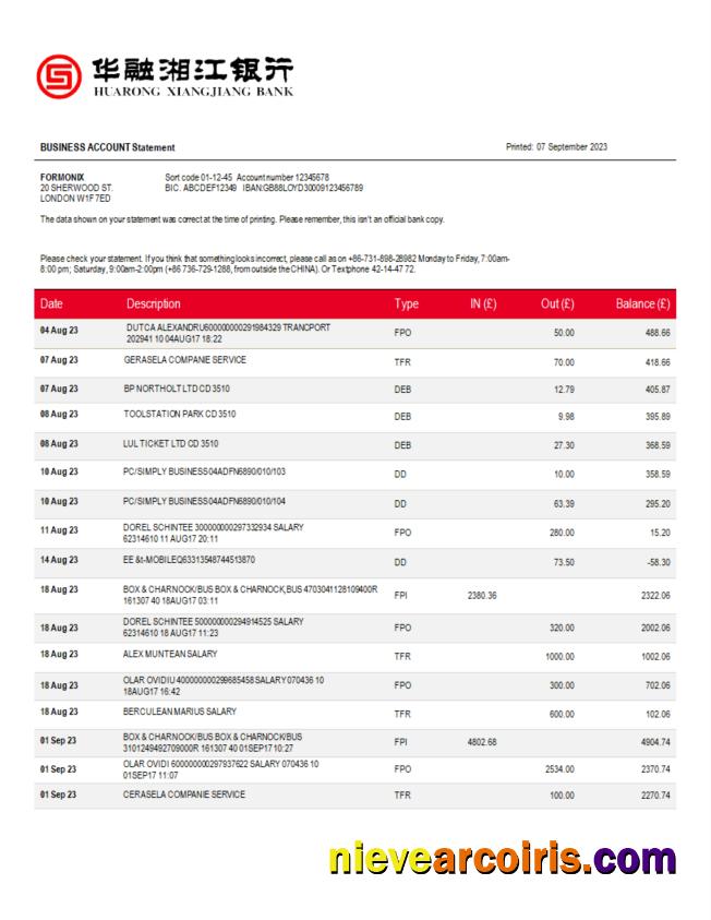 Premium Huarong Xiangjiang Bank Company Account Statement Word And PDF Template