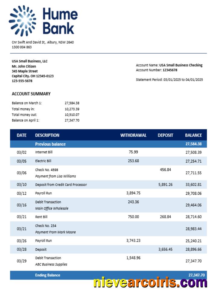 Humebank Enterprise Account Statement Word And PDF Format Preview