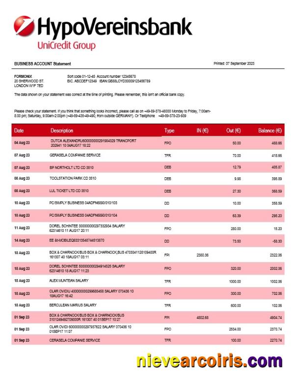 Professional HypoVereinsbank Enterprise Statement Word And PDF Template