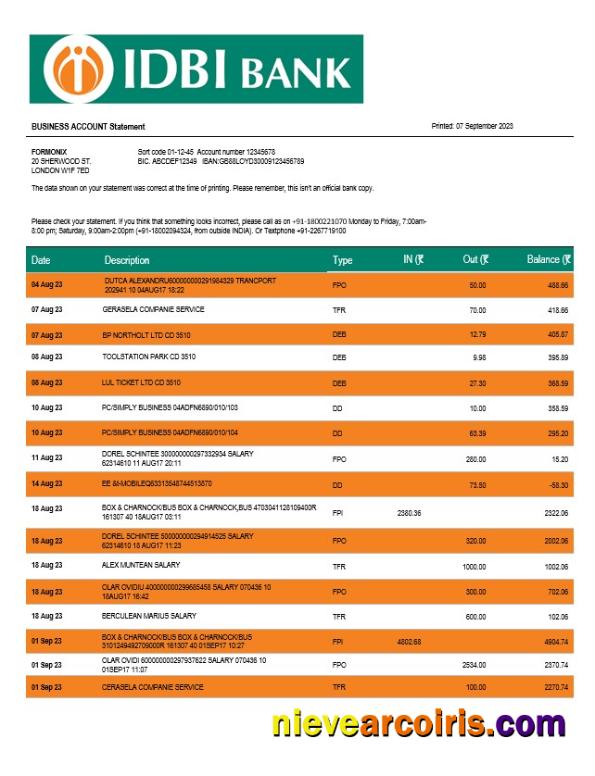 Professional IDBI Bank Enterprise Account Statement Word And PDF Template