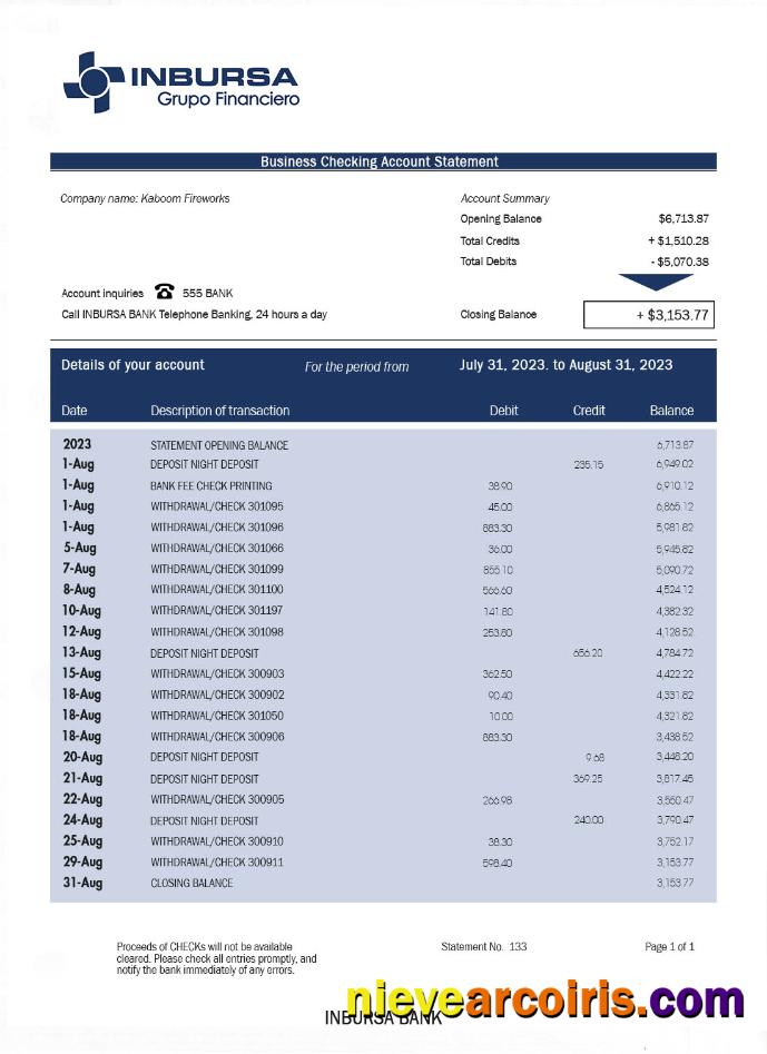 INBURSA Bank Bank Statement Preview