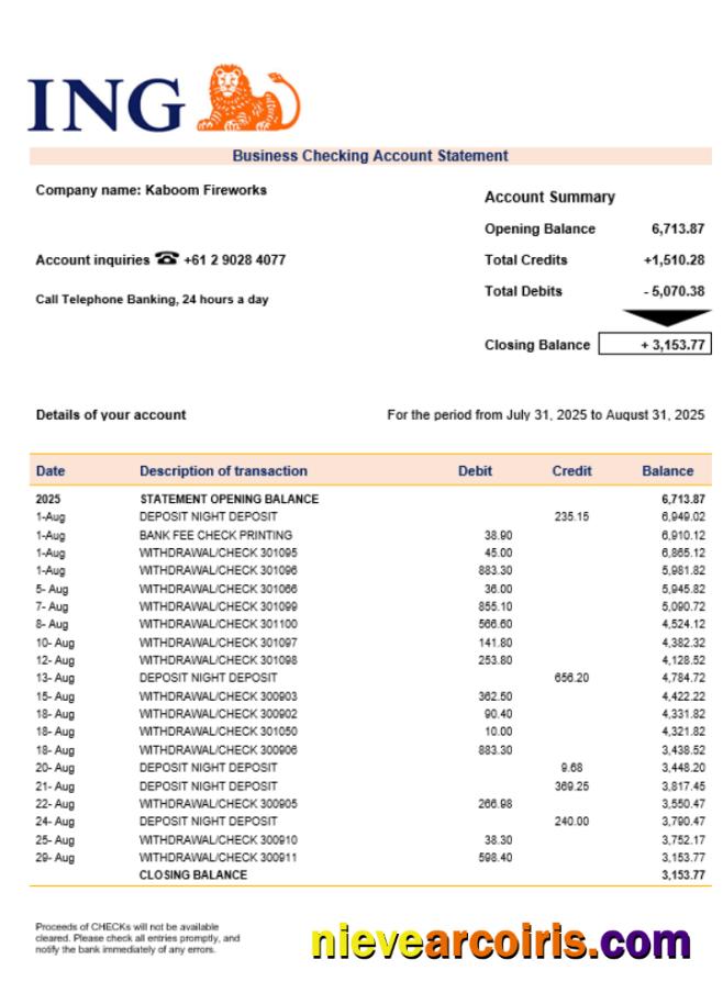 ING Direct Business Bank Statement Word And PDF Format Sample