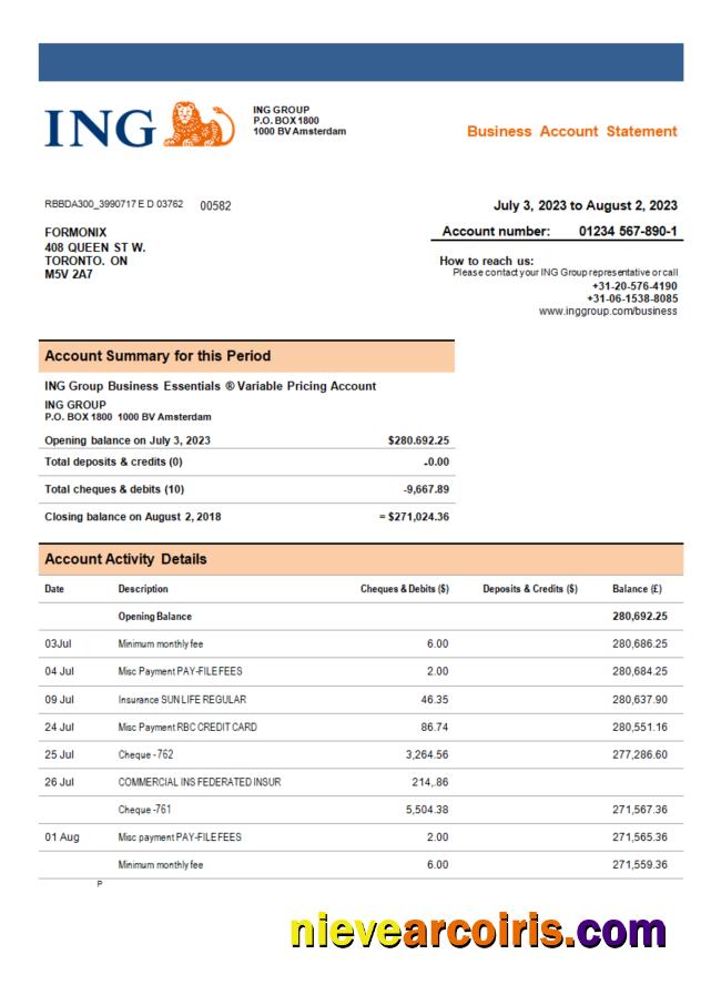 Editable ING Groep Bank Company Account Statement Word And PDF Template