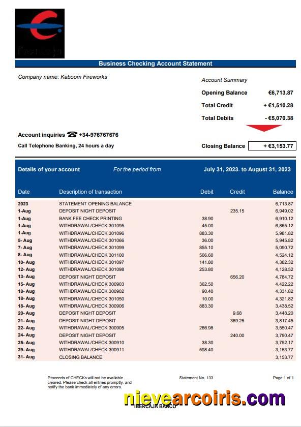 Professional Ibercaja Bank Firm Account Statement Word And PDF Template