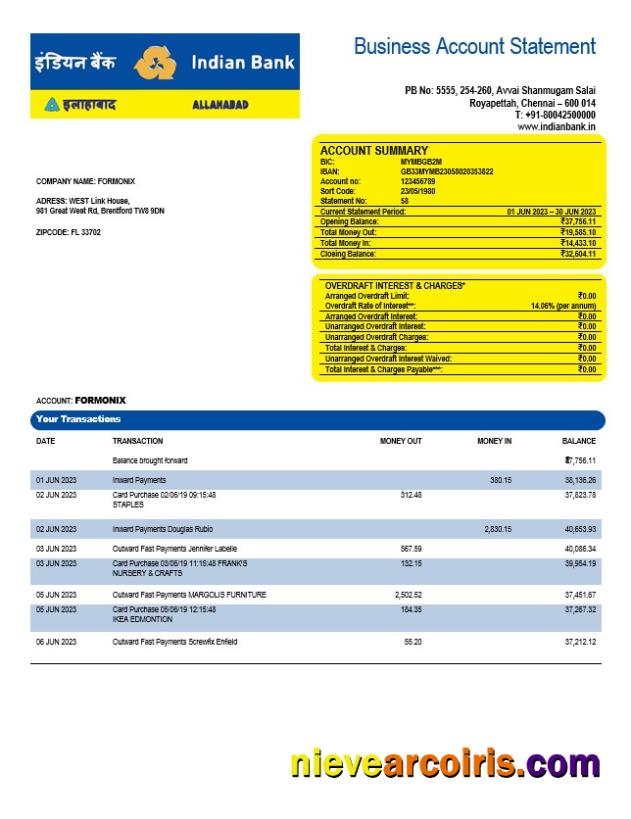 Premium Indian Bank Organization Checking Account Statement Word And PDF Template