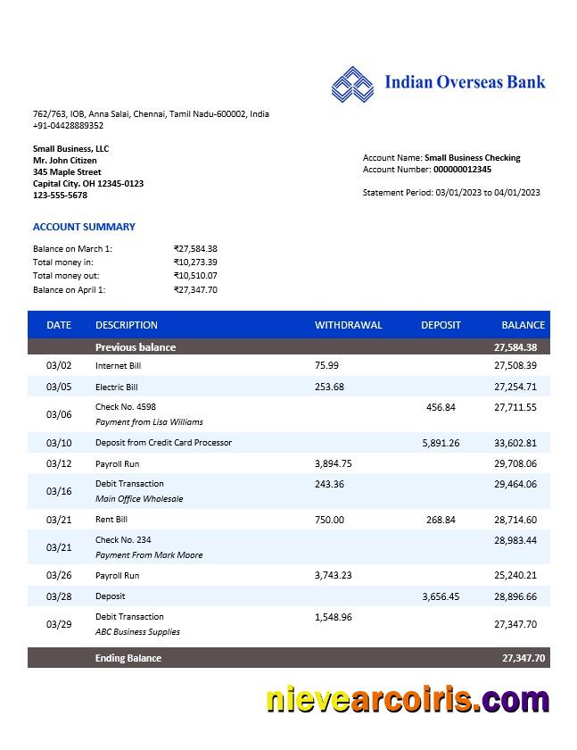 Realistic Indian Overseas Bank Organization Account Statement Word And PDF Template