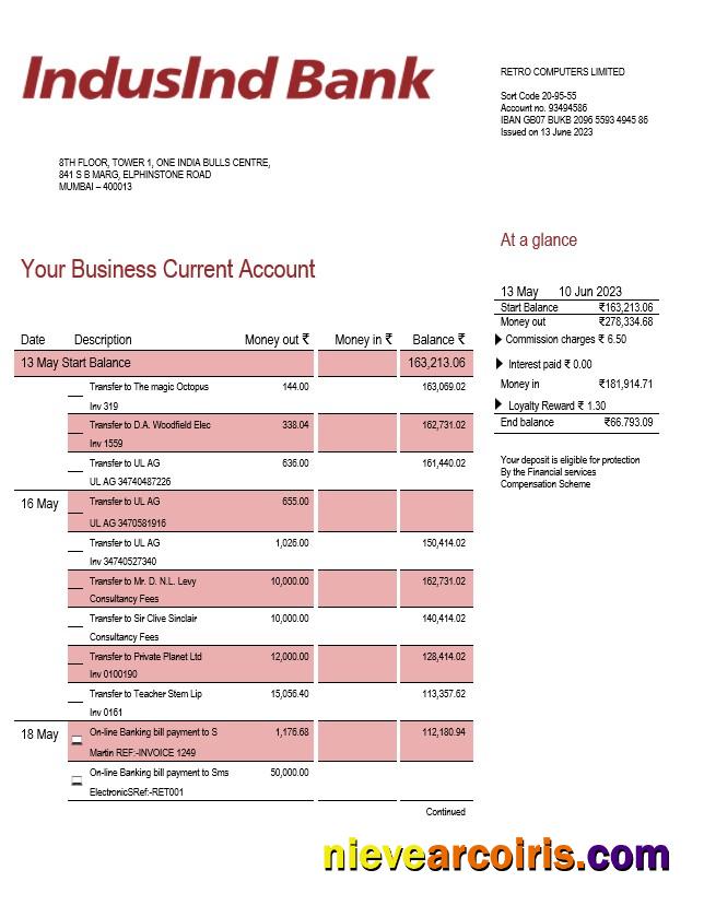 Realistic Indusind Bank Enterprise Statement Word And PDF Template