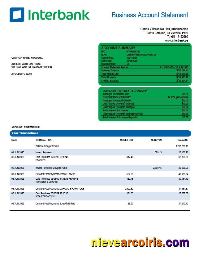 Professional Interbank Organization Account Statement Word And PDF Template
