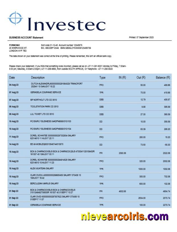 Premium Investec Bank Organization Statement Word And PDF Template