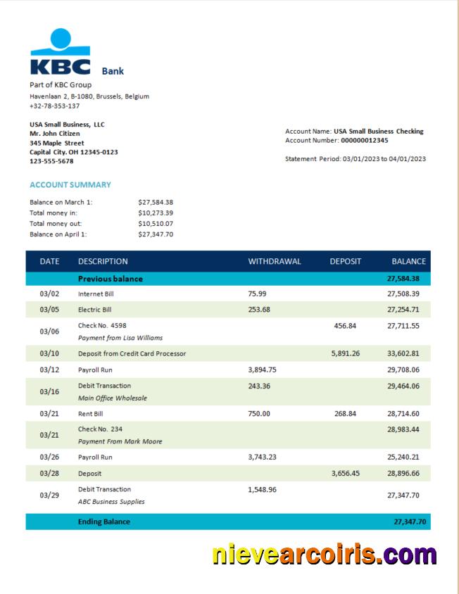 Editable KBC Bank Corporate Account Statement Word And PDF Template