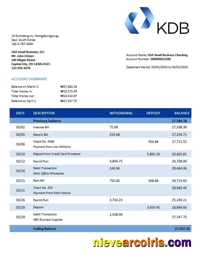 Premium KDB Group Bank Firm Account Statement Word And PDF Template