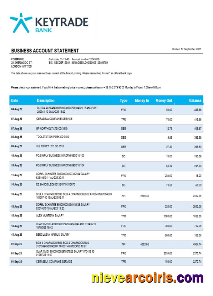 Keytrade Business Firm Statement Word And PDF Format Template