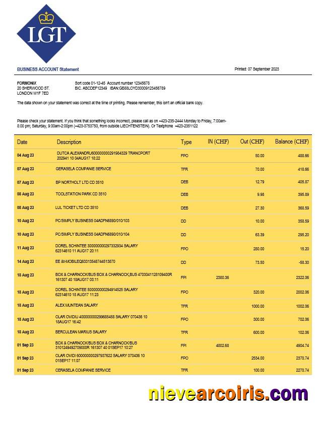 Professional LGT Bank Organization Checking Account Statement Word And PDF Template