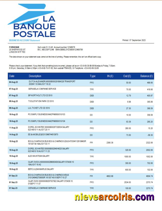 Professional La Banque Postale Firm Bank Statement Word And PDF Template