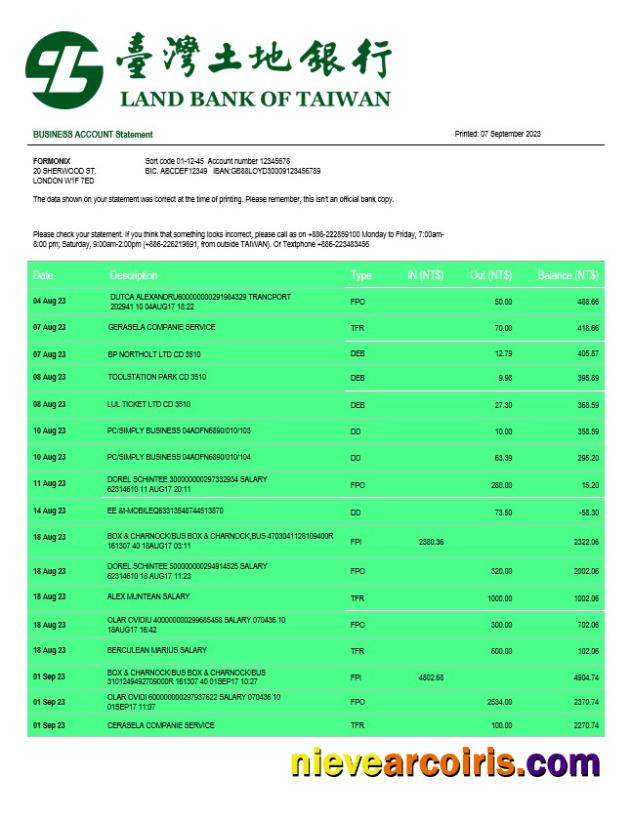 Realistic Land Bank Of Taiwan Firm Account Statement Word And PDF Template