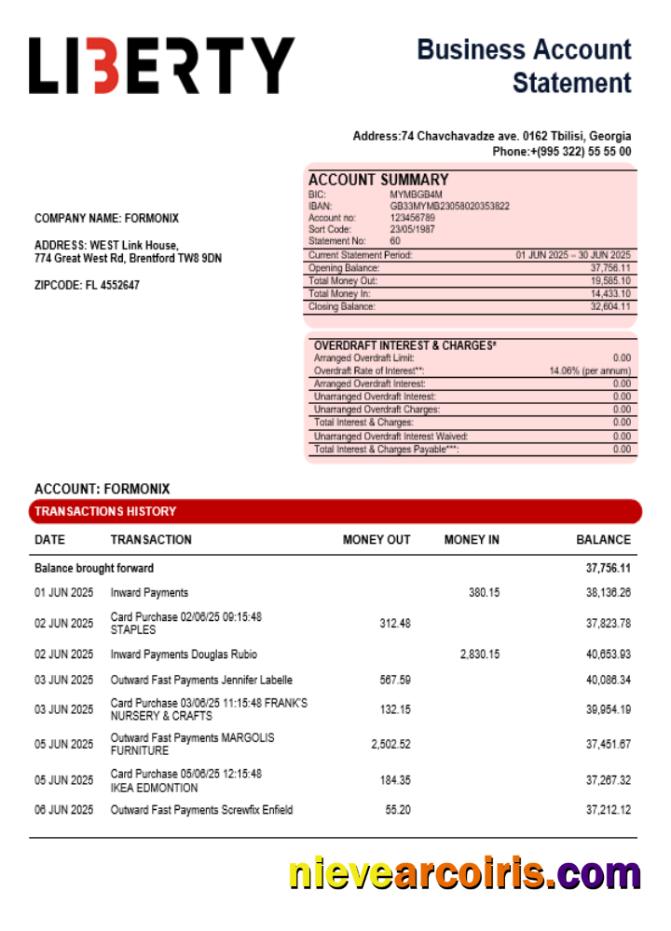 Liberty Bank Organization Checking Account Statement Word And PDF Format Sample
