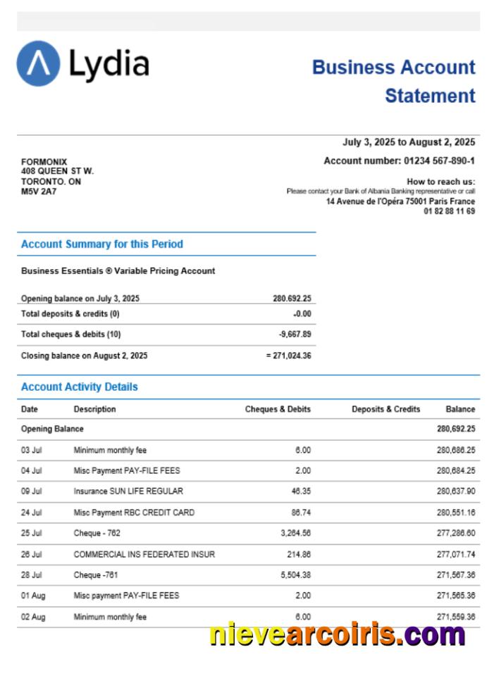 Lydia Noir Bank Business Firm Account Statement Word Snd PDF Format Template