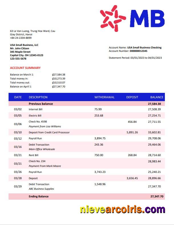 Realistic MB Bank Company Statement Word And PDF Template