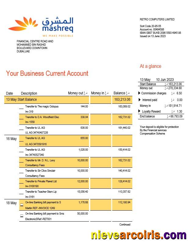 Premium Mashreq Bank Company Checking Account Statement Word And PDF Template