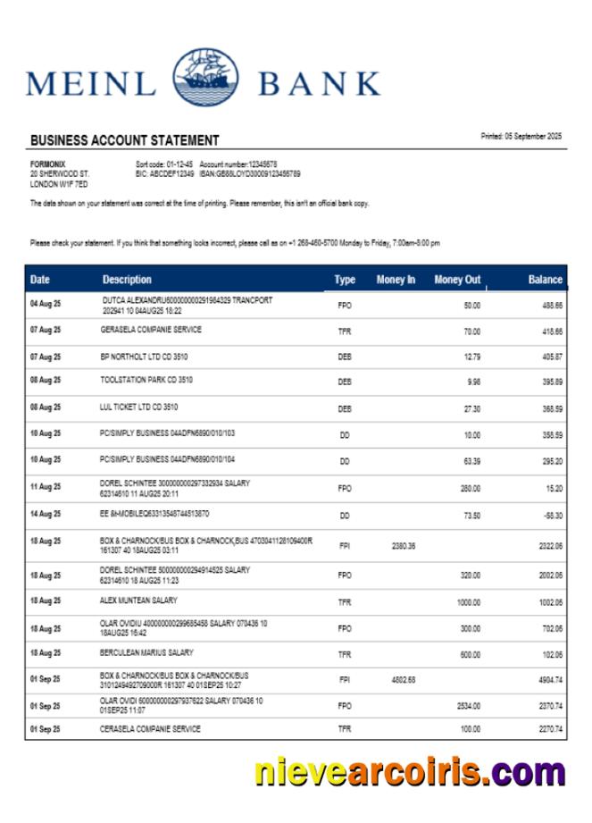 Premium Meinl Bank Company Checking Account Statement Word And PDF Template
