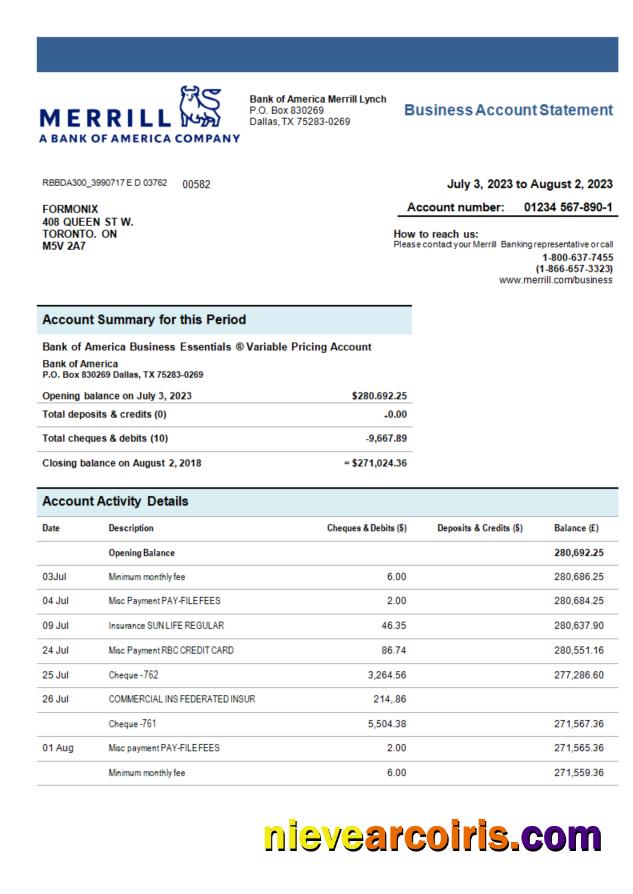 Editable Merrill Bank Organization Account Statement Word And PDF Template