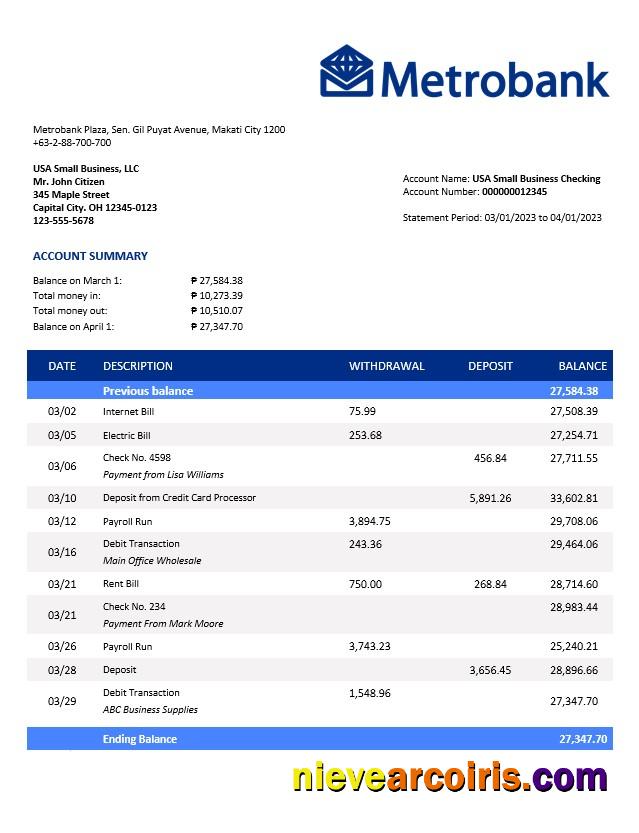 Professional Metrobank Enterprise Statement Word And PDF Template