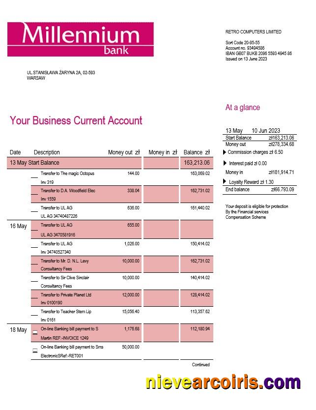 Editable Millenium Bank Enterprise Statement Word And PDF Template