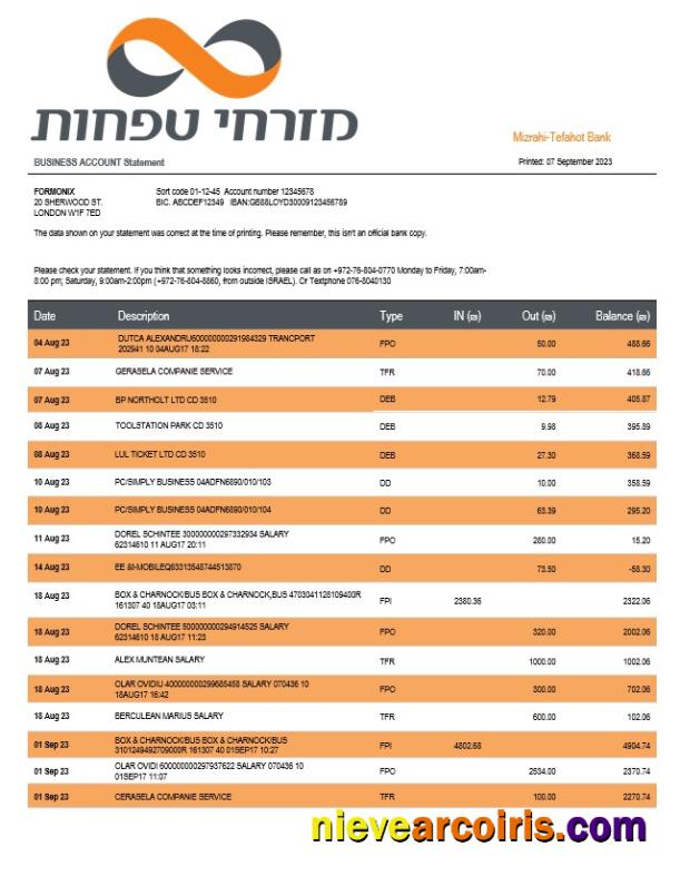 Professional Mizrahi Tefahot Bank Organization Statement Word And PDF Template