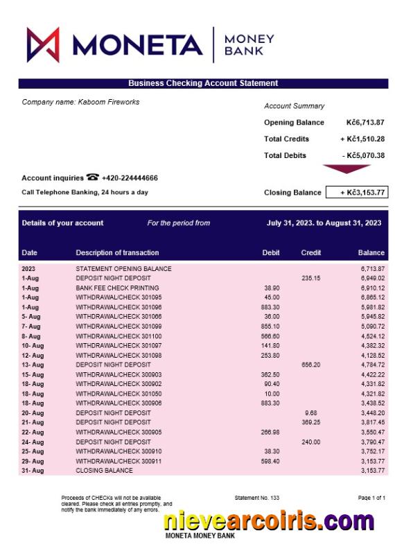 Editable Moneta Money Bank Firm Account Statement Word And PDF Template