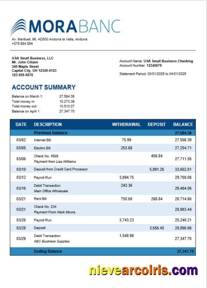 Morabank Firm Account Statement Word And PDF Format Template