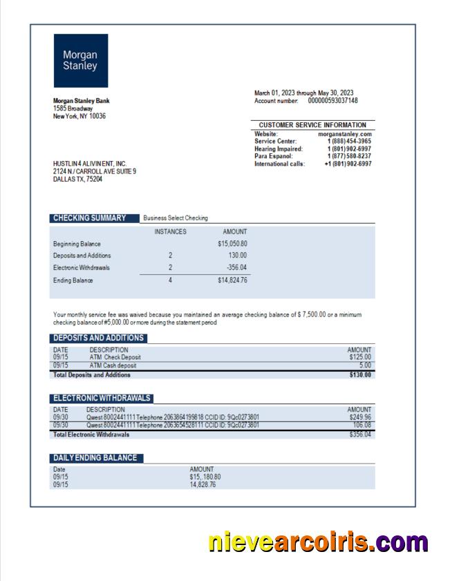Professional Morgan Stanley Bank Organization Account Statement Word And PDF Template