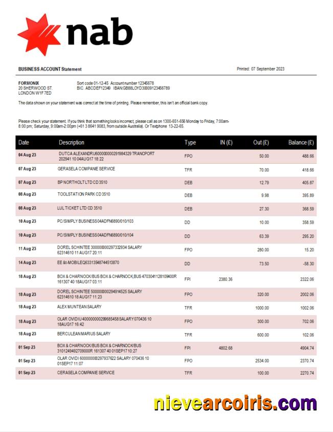Premium NAB Bank Company Account Statement Word And PDF Template