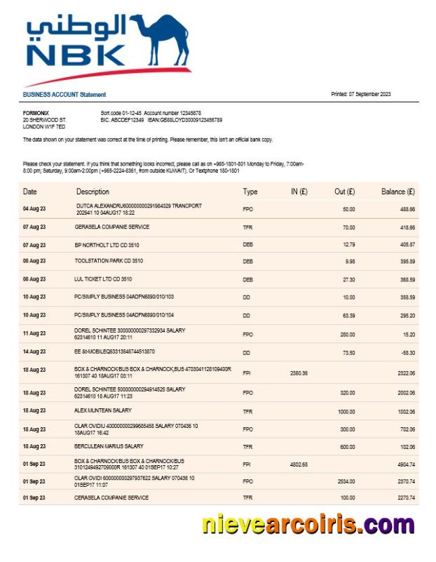 Premium NBK Bank Business Statement Word And PDF Template