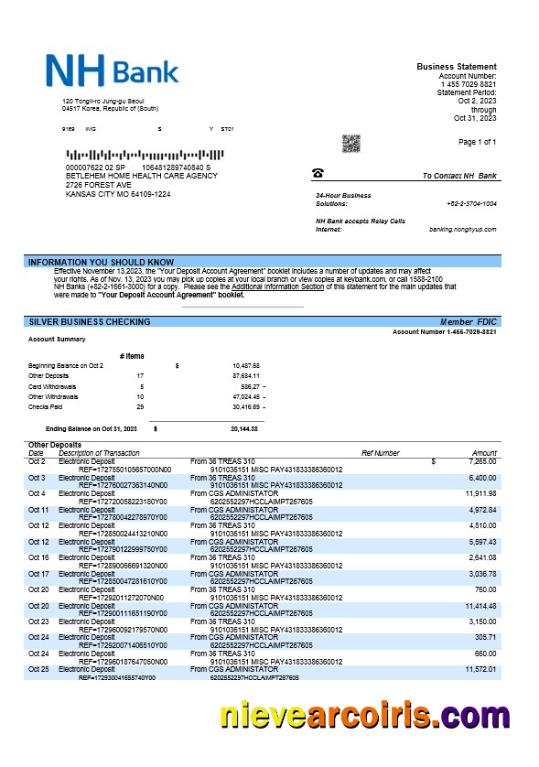Professional NH Bank Firm Account Statement Word And PDF Template