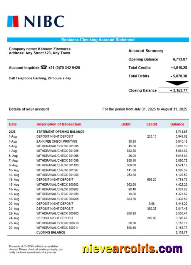 NIBC Bank Business Organization Checking Statement Word And PDF Format Photolook