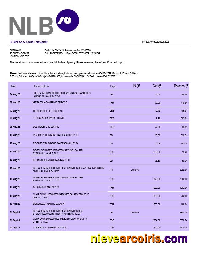 Realistic NLB Bank Firm Account Statement Word And PDF Template
