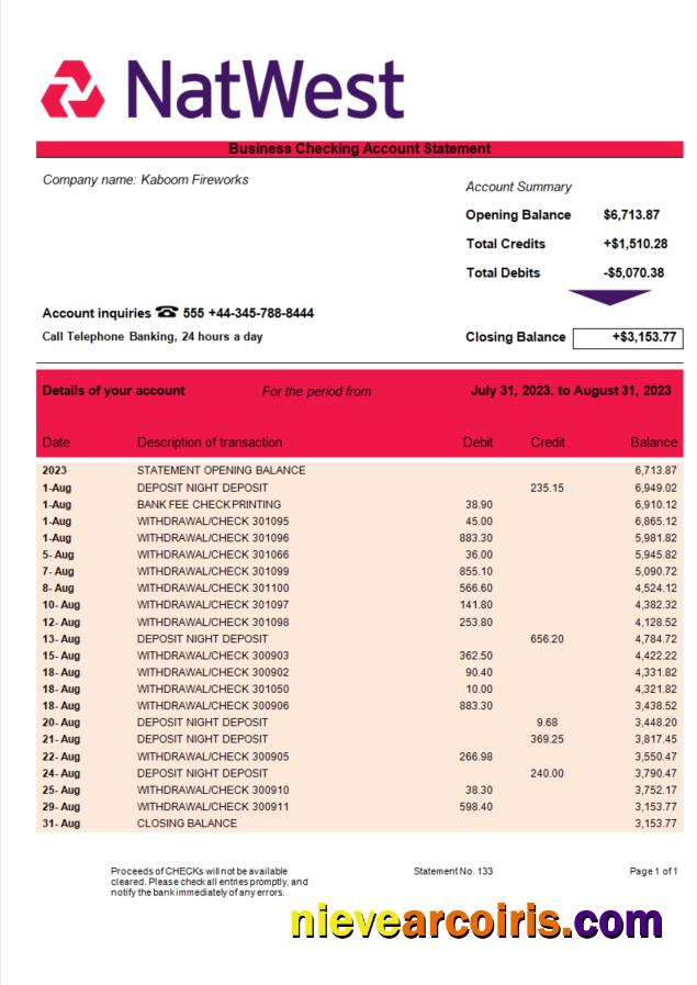 Professional NatWest Bank Enterprise Account Statement Word And PDF Template
