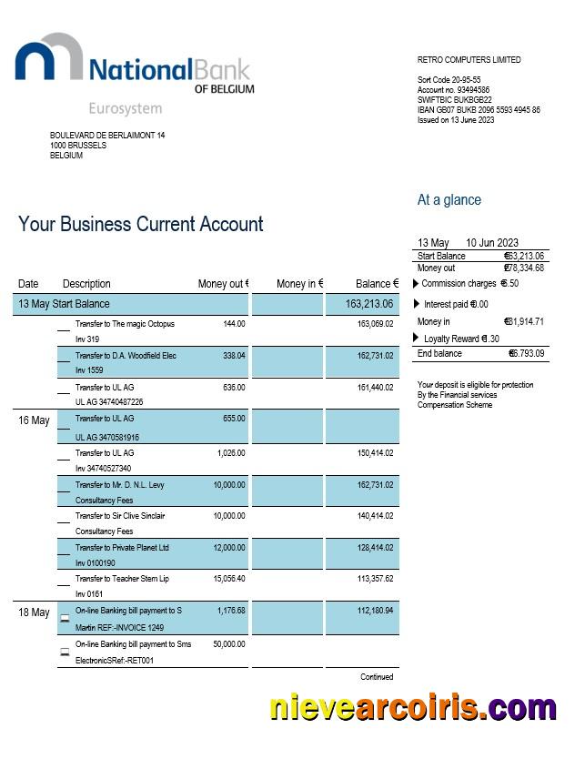 Premium National Bank Of Belgium Enterprise Statement Word And PDF Template