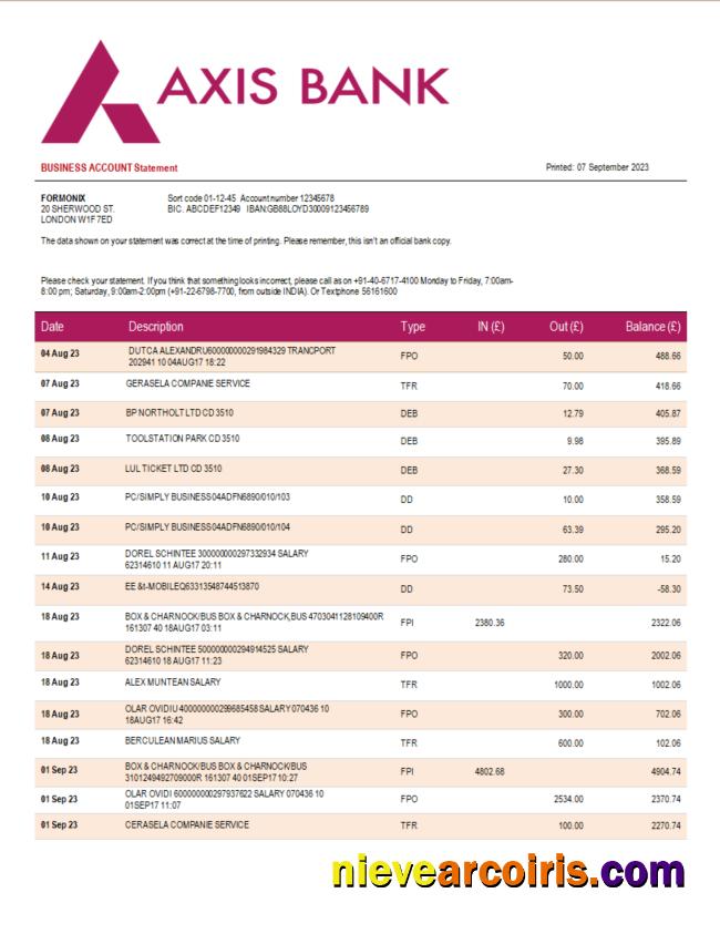 Professional National Bank Of Canada Organization Statement Word And PDF Template