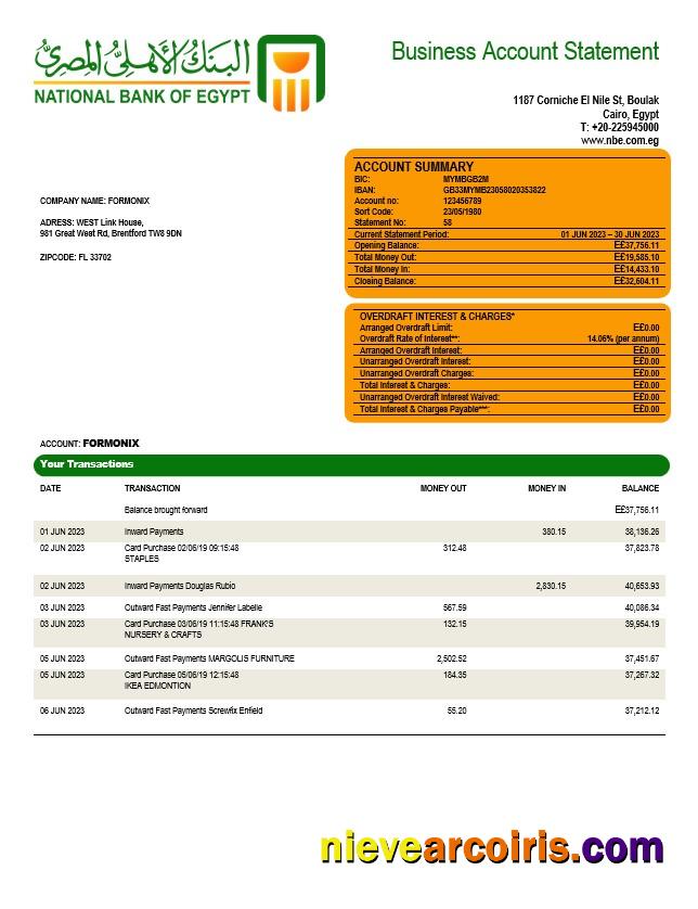 Editable National Bank Of Egypt Company Account Statement Word And PDF Template