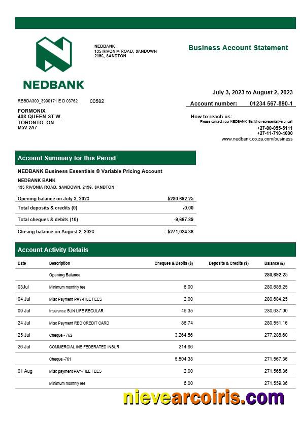 Premium Nedbank Firm Statement Word And PDF Template