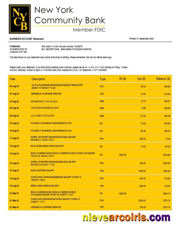 Realistic New York Community Bancorp Enterprise Account Statement Word And PDF Template