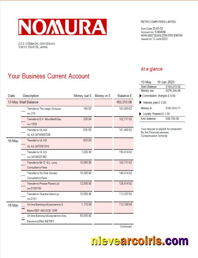 Editable Nomura Bank Business Statement Word And PDF Template